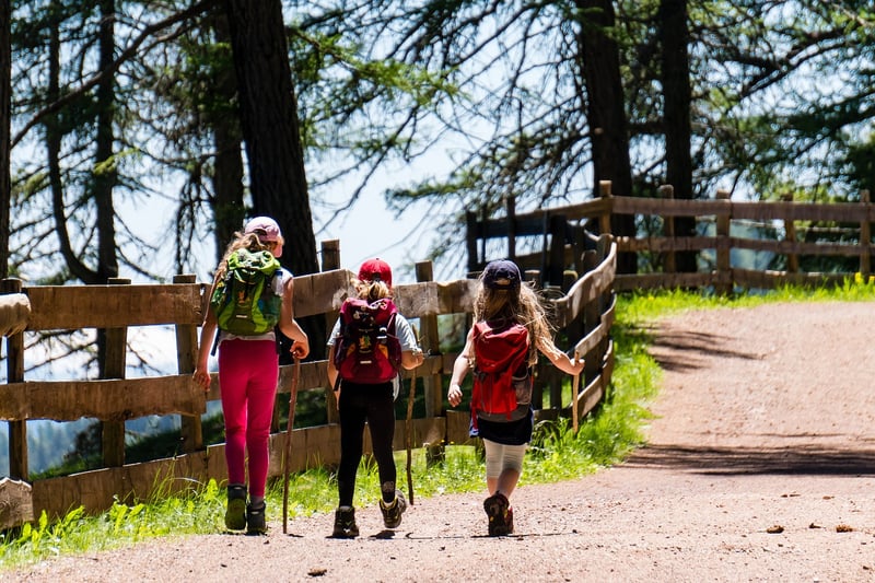 Hiking Adventure